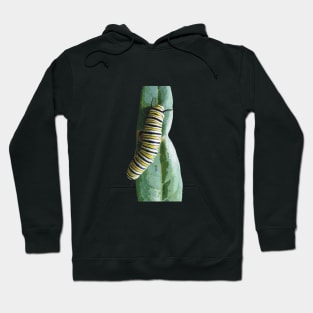 Monarch Caterpillar on a Leaf Hoodie